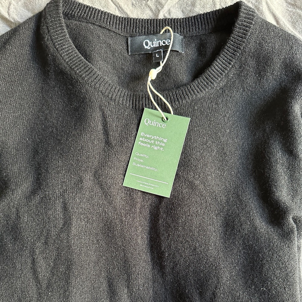 QUINCE Mongolian Cashmere Crewneck Sweater (NEW)